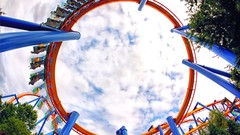 The Ring roller coasters