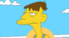 The simpsons TV series