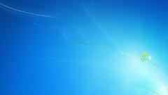 The stupid computer windows