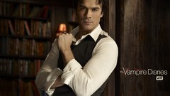 The Vampire Diaries Ian Somerhalder Damon Salvatore