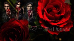 The Vampire Diaries Ian Somerhalder Nina Dobrev Paul Wesley 