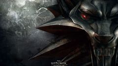 The witcher