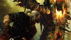 The witcher 2 assassins