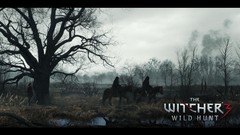 The witcher 3 wild hunt video games wild hunt witcher