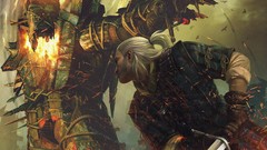 The witcher the witcher 2 assassins of kings video games geralt 