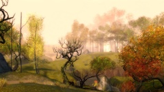 There any repeats sorry