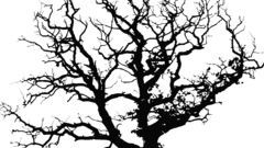 There go just cutted