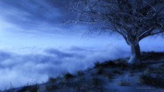 These take awhile to