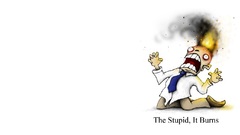 Thestupiditburns