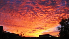 This tonight just took