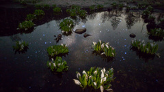 Three Worlds high Resolution