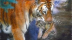 Tiger artwork Wild Animals