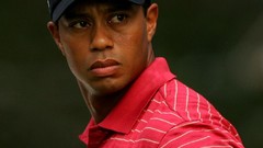 Tiger woods cheating Animals