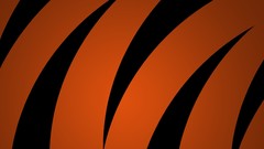 Tigers duel dual Monitor