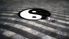 Tile yin yang everything