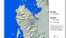 Tillamook intertidal high