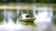Tilt-shift