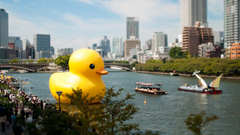 Tilt-shift rubber ducks cityscapes