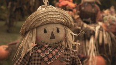 Time harvest fun Tennessee forge