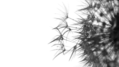 Time passes by bypass