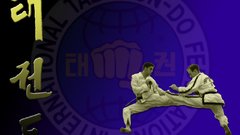 Tkd or Martial Arts