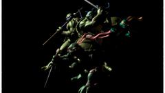 TMNT comicfin turtles ninja