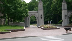 To bedjust wearingsuit becauselook