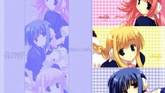 To heart to heart 2 kouno harumi silfa Lifa