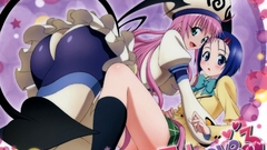To love ru Sairenji