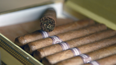 Tobacco cigars Cigarettes