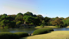 Tokyo Garden Japanese Gardens