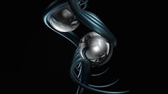 Too broad suddenlywild appears