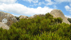 Took it myself yesterday