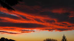 Took This myself hence