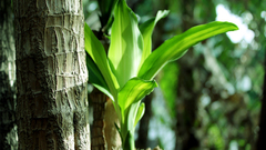 Took This wg shooped