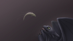 Toothless How to Train