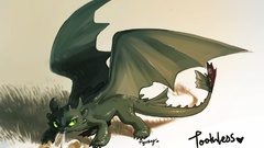Toothless How to Train