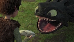 Toothless How to Train