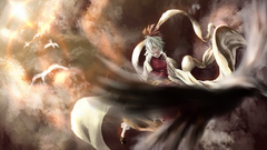 Toramaru shou touhou Birds