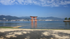 Torii itsukushima shrine water