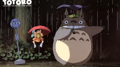 Totoro My Neighbour Totoro