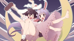 Touhou animal ears reisen