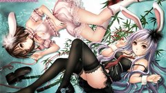 Touhou animal ears reisen