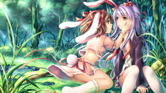 Touhou animal ears reisen