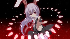 Touhou bunny girls animal