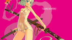 Touhou konpaku youmu camel