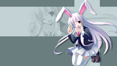Touhou reisen udongein inaba