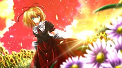 Touhou video games Medicine Melancholy Nekominase