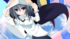 Touhou video games Wriggle Nightbug