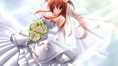 Touhou wings long hair